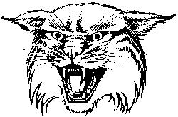 250x164 University Of Kentucky Wildcat Easter Egg