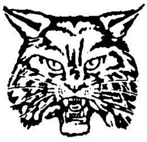 500x486 Wildcat Images Clipart Best, Outline Drawings Black And White