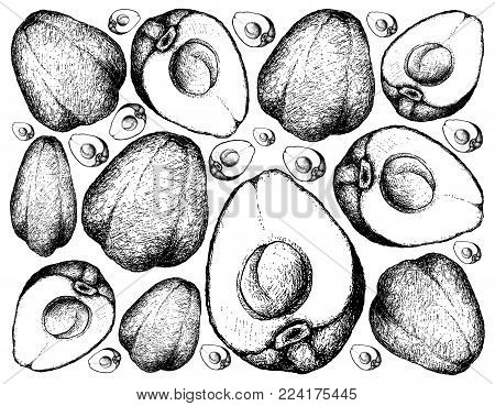 450x369 Malay Images, Illustrations, Vectors