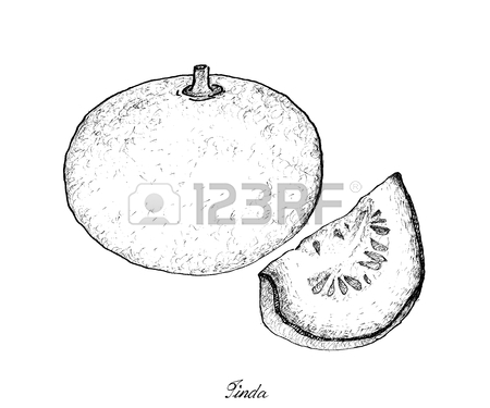 450x375 520 Middle East Food Stock Vector Illustration And Royalty Free