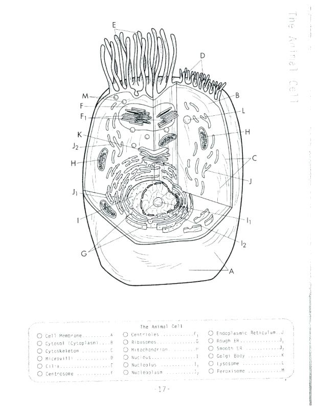 618x800 Keyboard Coloring Sheets