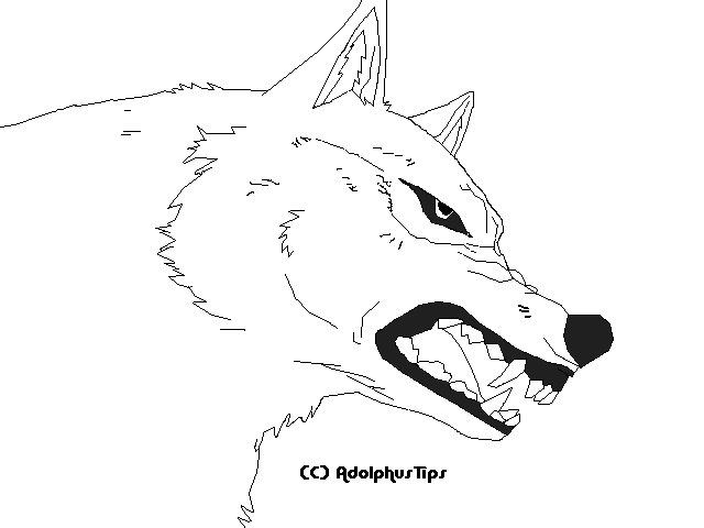 640x480 Wolf's Rain Line Art