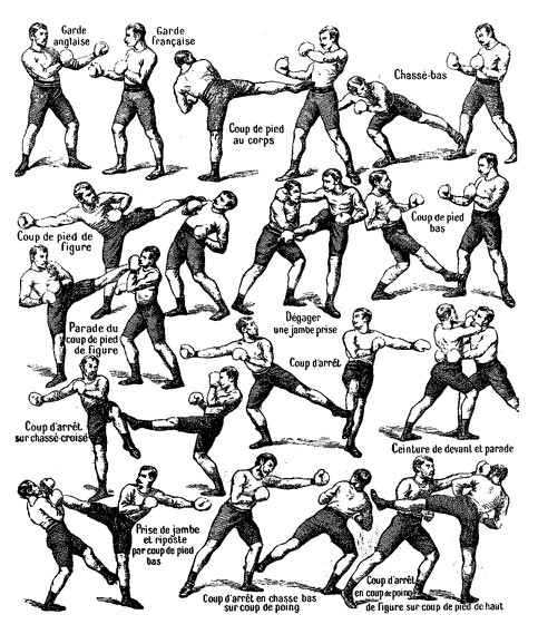 483x569 Savate Martial Art Drawings And Diagrams Martial