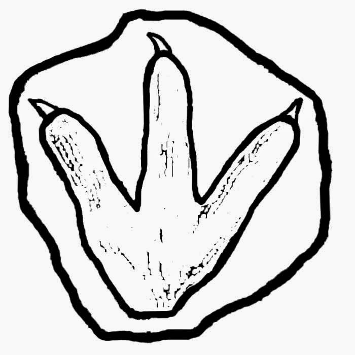 700x700 Easy To Draw Dinosaurs For Kids