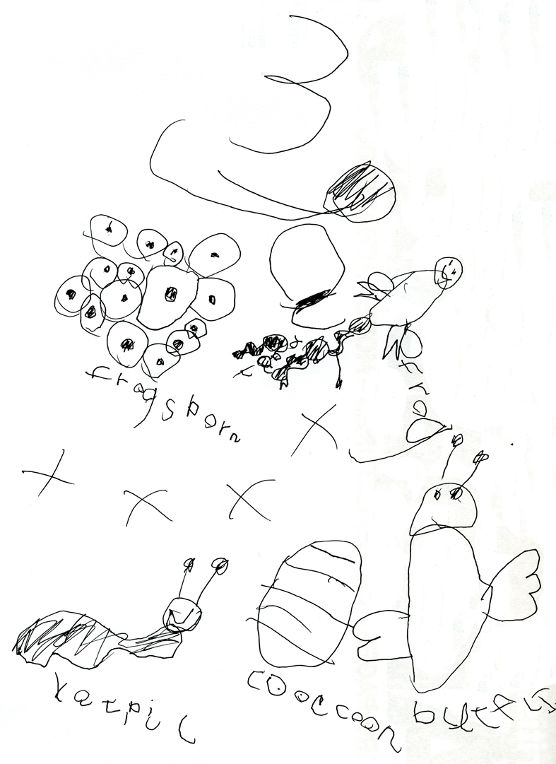 787x1081 Frogs Porn And All That Springy Stuff Mike Pitts Digging Deeper