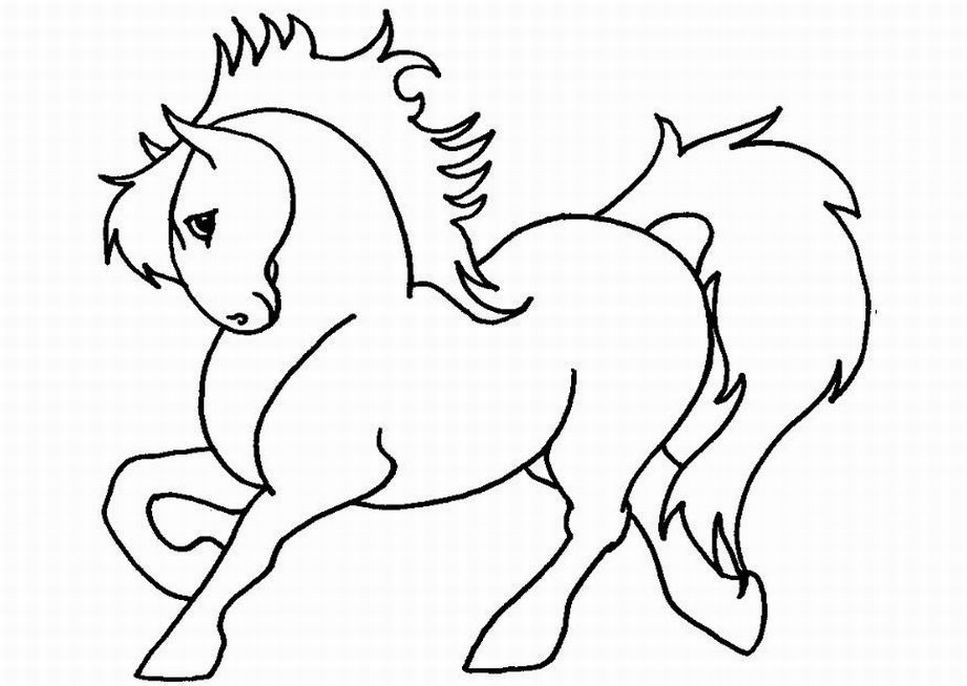 967x686 Horses Pictures For Kids