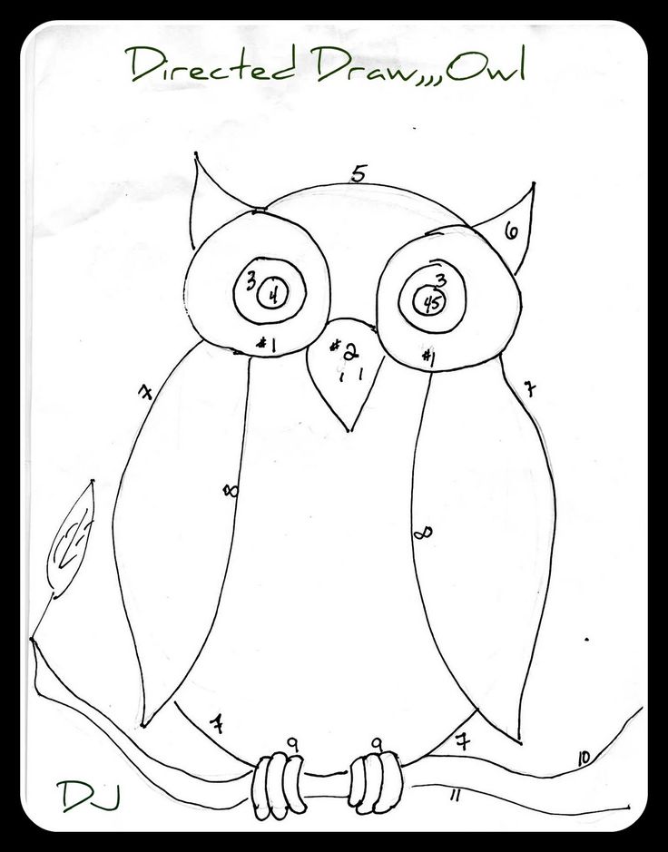 736x939 Owl Drawing For Kids Many Interesting Cliparts