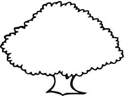 255x197 Image Result For Tree Outline Drawings For Kids Mosaic Pictures