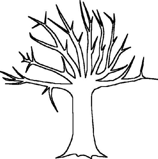 550x554 Big Tree Without Leaves Coloring Page Tree Sample