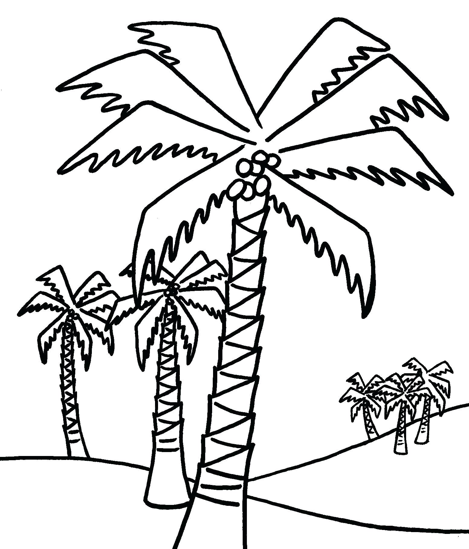 1552x1818 Printable Printable Tree Drawings
