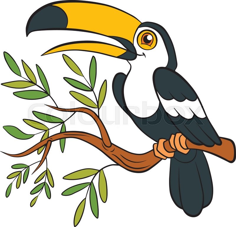 800x771 Cartoon Birds For Kids. Little Cute Toucan Sits On The Tree Branch
