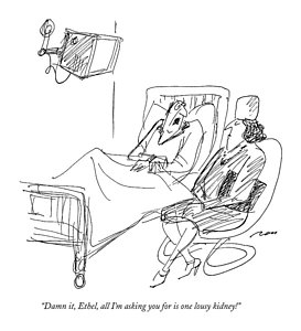 273x300 Kidney Art Fine Art America