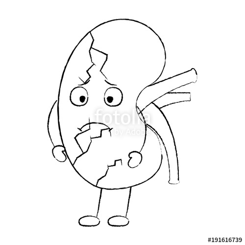 500x500 Cartoon Human Kidney Sick Character Vector Illustration Sketch