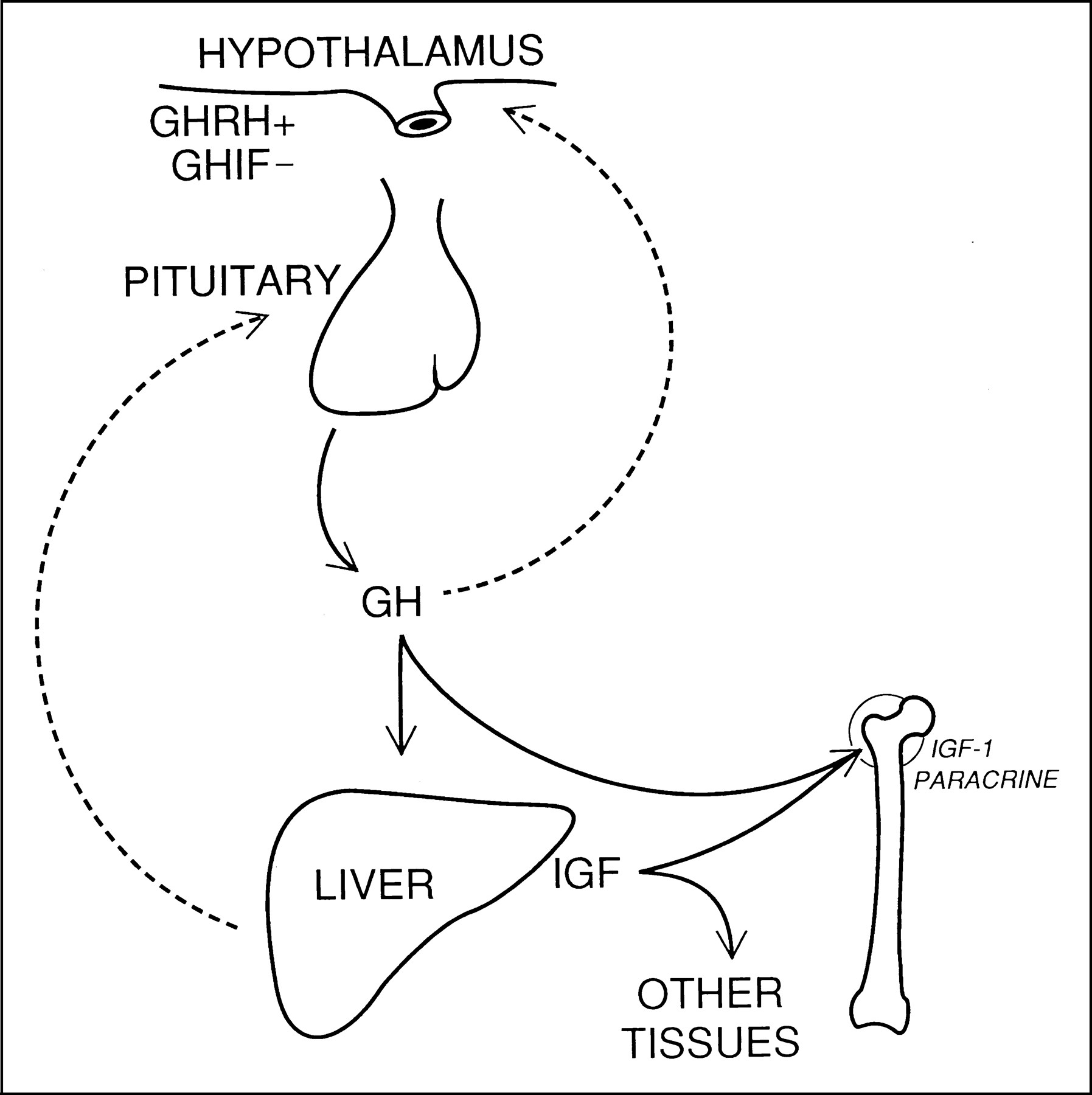 1795x1800 Kidney Failurefants And Children Articles Pediatrics