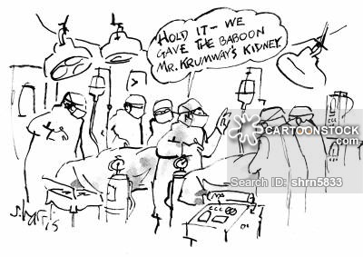 400x283 Kidneys Cartoons And Comics