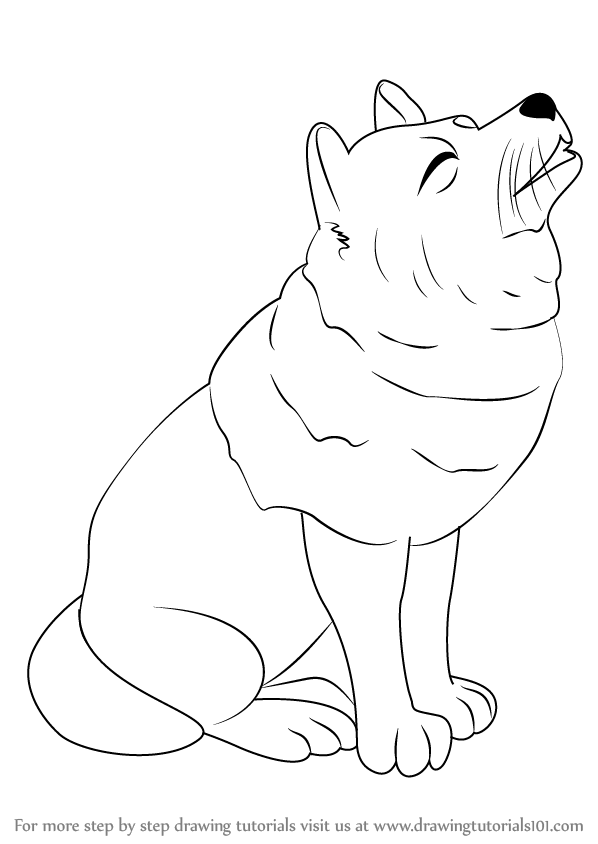 598x844 Learn How To Draw A Wolf For Kids (Wild Animals) Step By Step