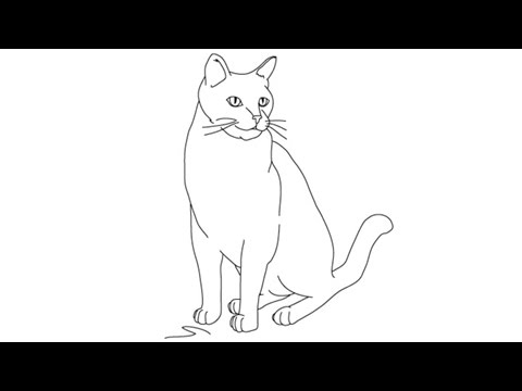 480x360 How To Draw Cats