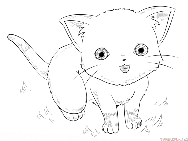 765x575 How To Draw An Anime Cat Step By Step. Drawing Tutorials For Kids