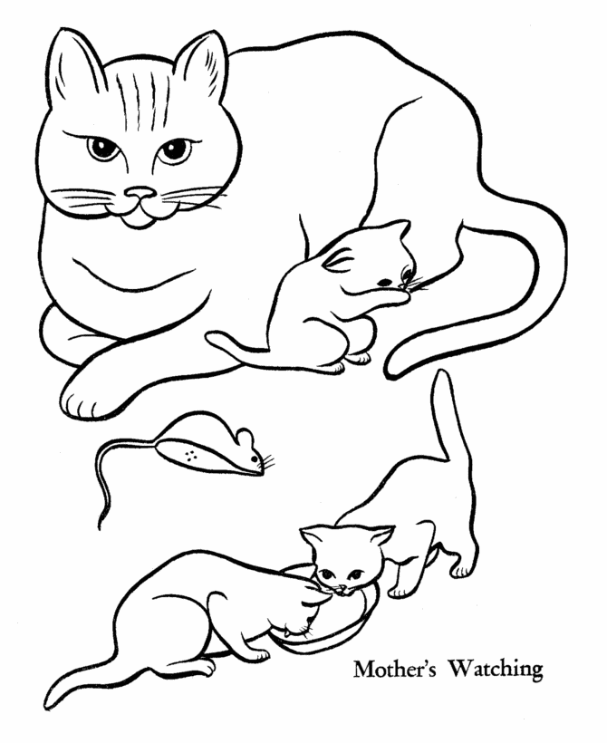 670x820 Pet Cat Coloring Page Mother Cat And Kittens From Honkingdonkey
