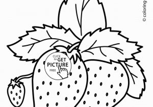 300x210 Drawing For Kids Fruits