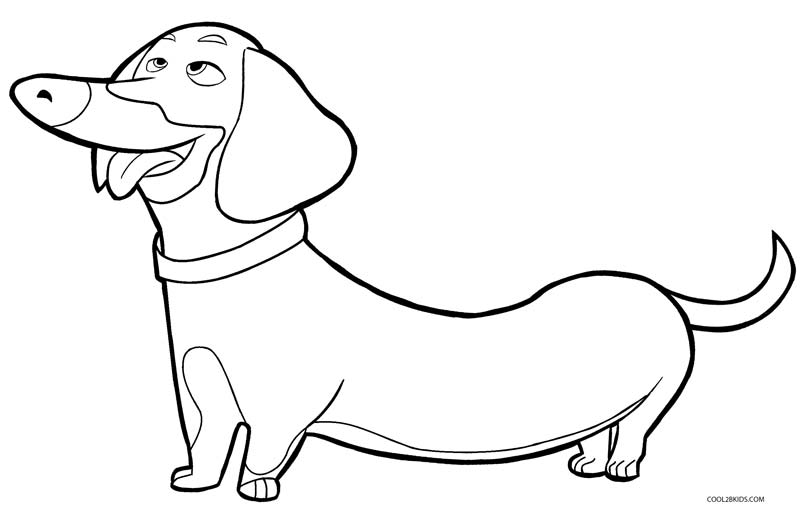 800x512 Amazing Dog Coloring Pages For Kids 18 For Your Cute Coloring