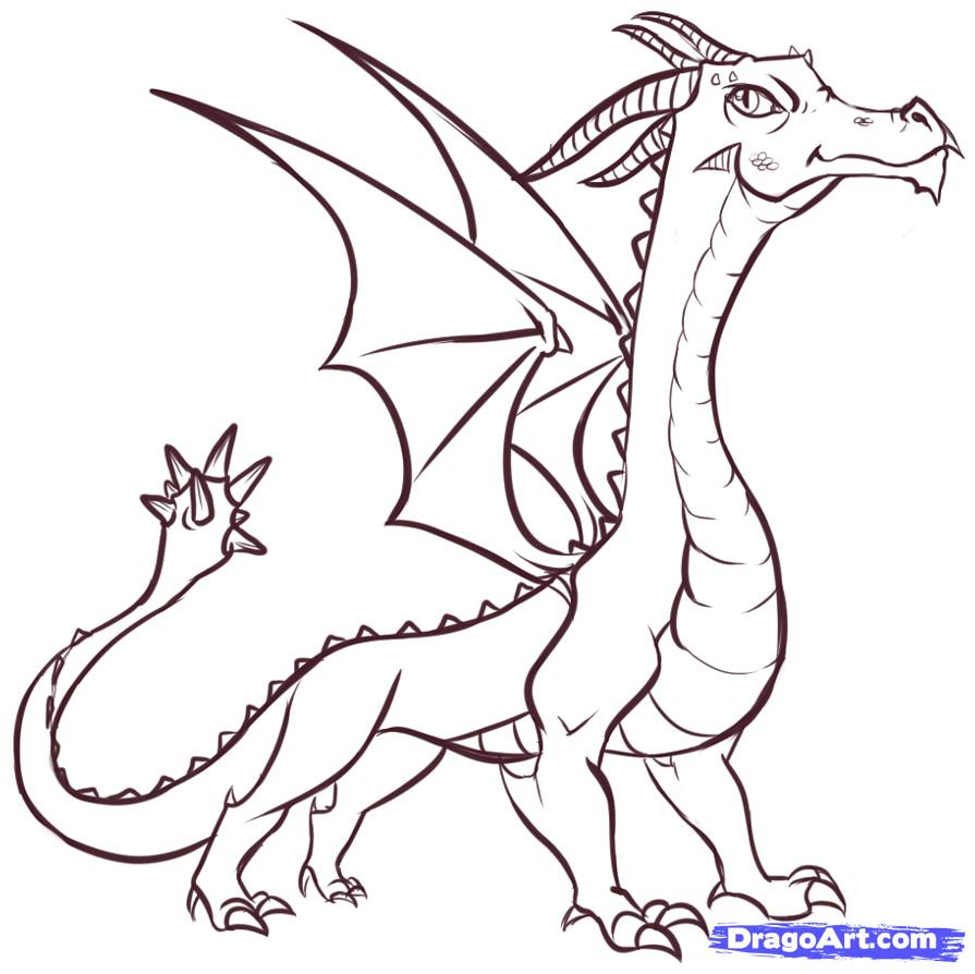 895x894 How To Draw A Realistic Dragon Step By Step Drawing Tutorials