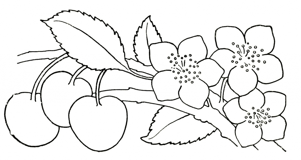 1024x546 Drawing Flowers For Kids Pictures Of Flower Drawings Clipartsco