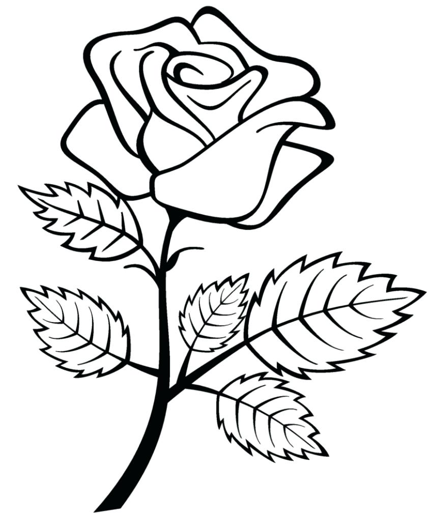 851x1024 Rose Drawing For Kids Free Printable Roses Coloring Pages Favorite