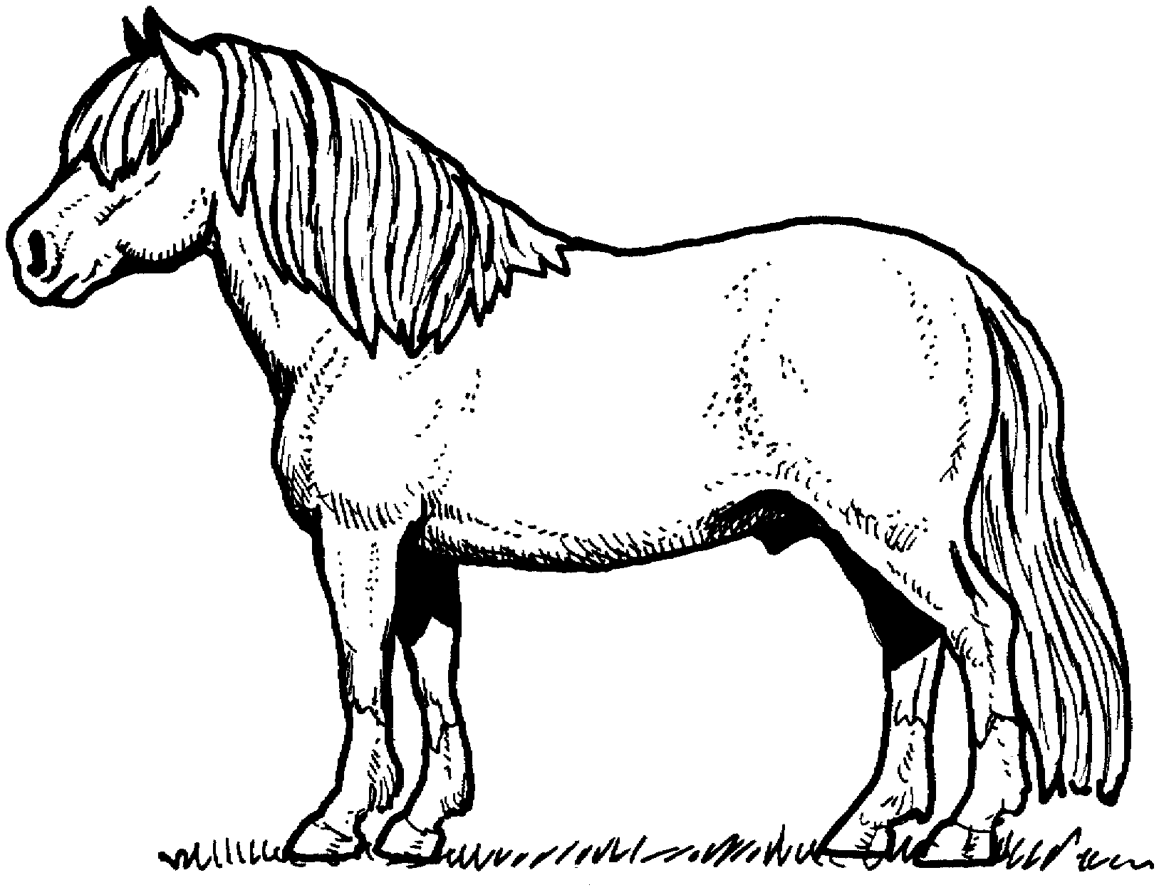 1627x1250 Cool Horse Coloring Pages For Kids Book Ideas