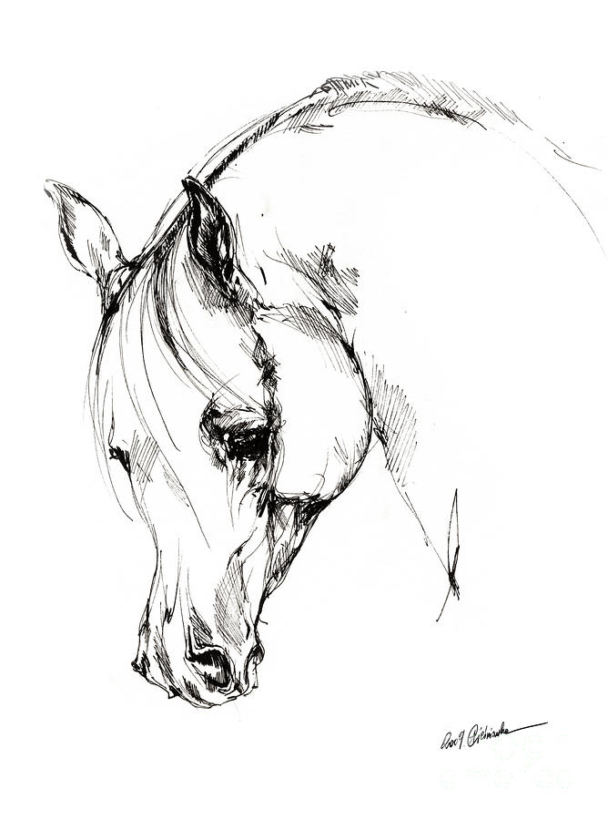 668x900 Horse Pictures For Kids Black And White To Color Funny Hd