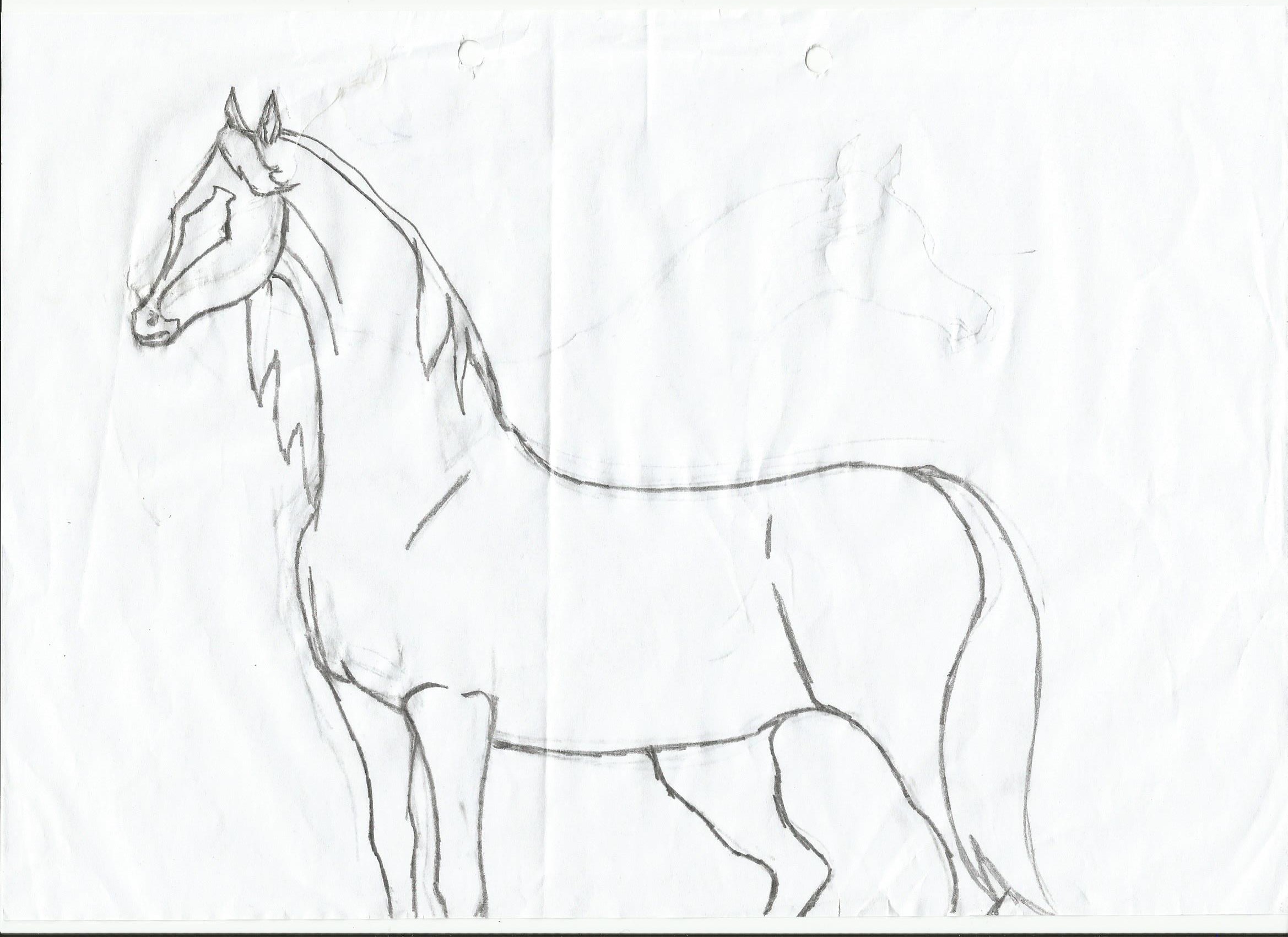 2338x1700 Horse Illustrations By Children Muslim Kids Read