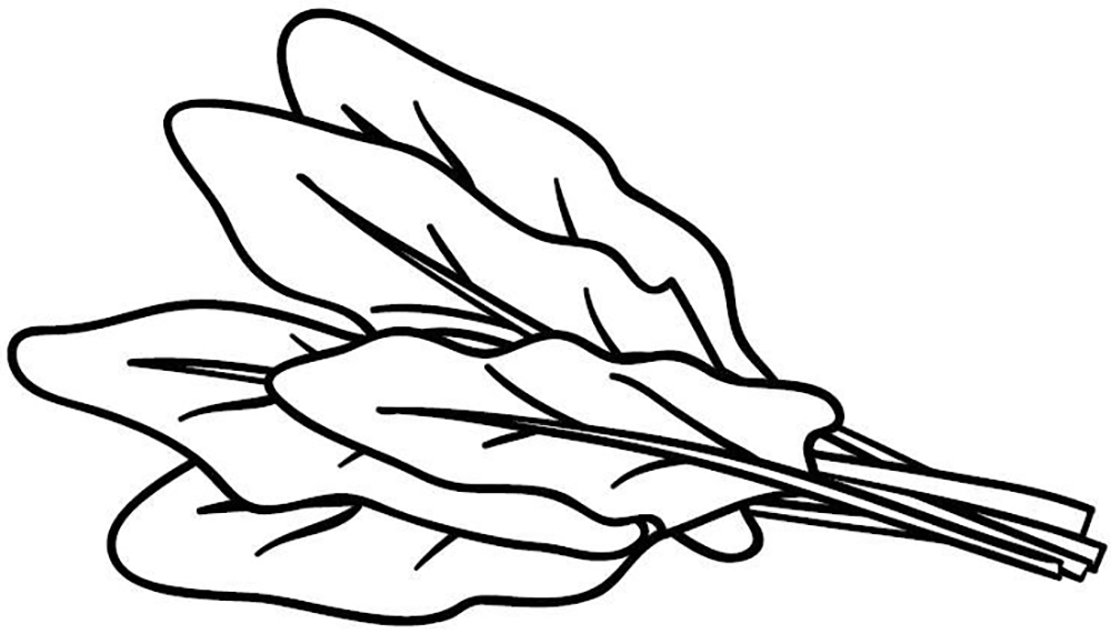 1000x571 Drawing Pictures For Kids