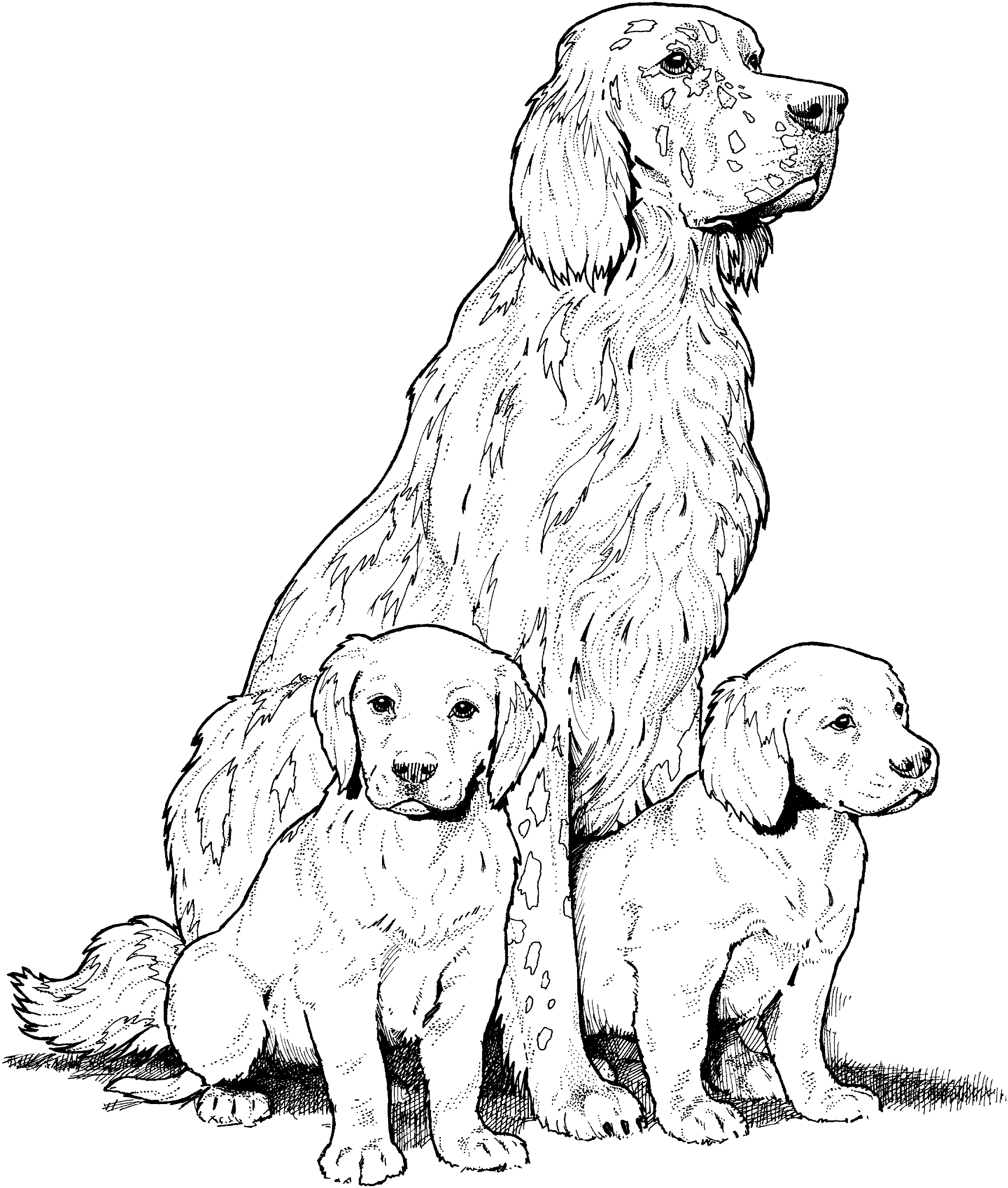 2161x2547 Dog Breed Coloring Pages Find Beautiful Coloring Pages