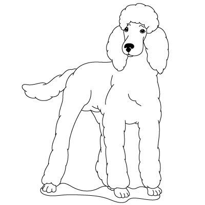 400x400 How To Draw A Poodle Fun Drawing Lessons For Kids Amp Adults Je