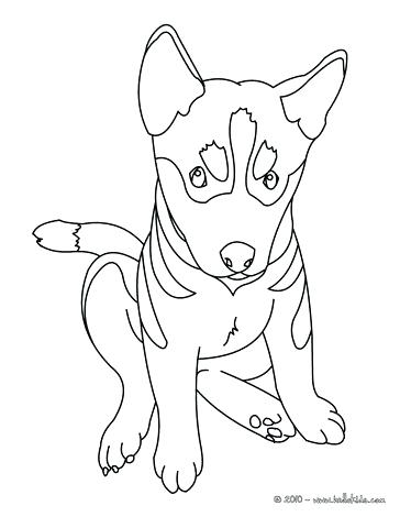 364x470 Coloring Page Of Dog Free Printable Dog Coloring Pages For Kids