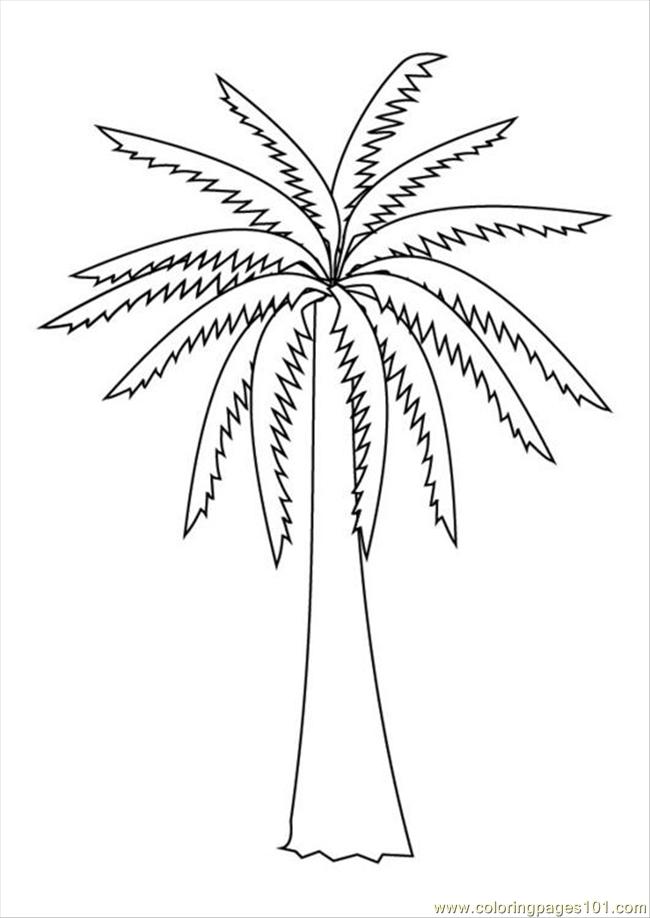 650x918 Palm Tree Coloring Pages For Kids Many Interesting Cliparts