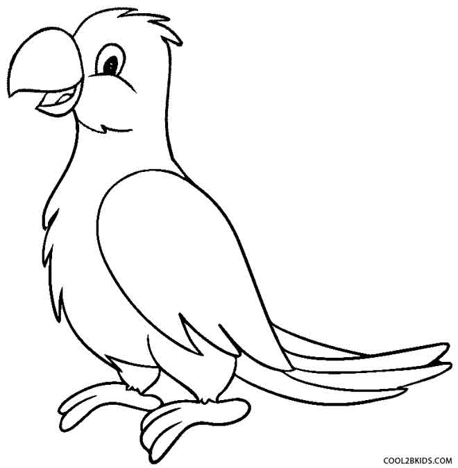 660x675 Printable Parrot Coloring Pages For Kids Cool2bkids