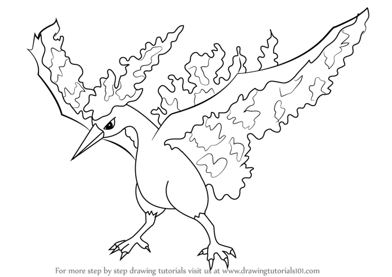 800x566 Learn How To Draw Moltres From Pokemon (Pokemon) Step By Step