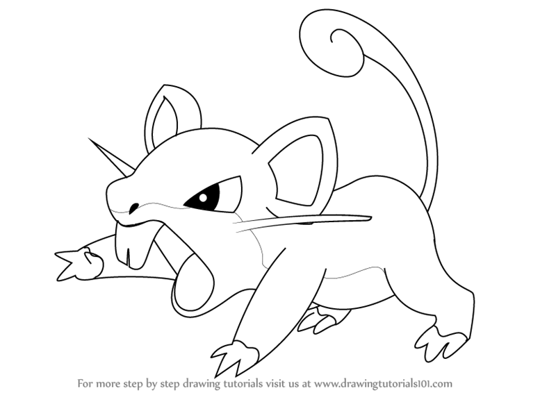 800x566 Learn How To Draw Rattata From Pokemon (Pokemon) Step By Step