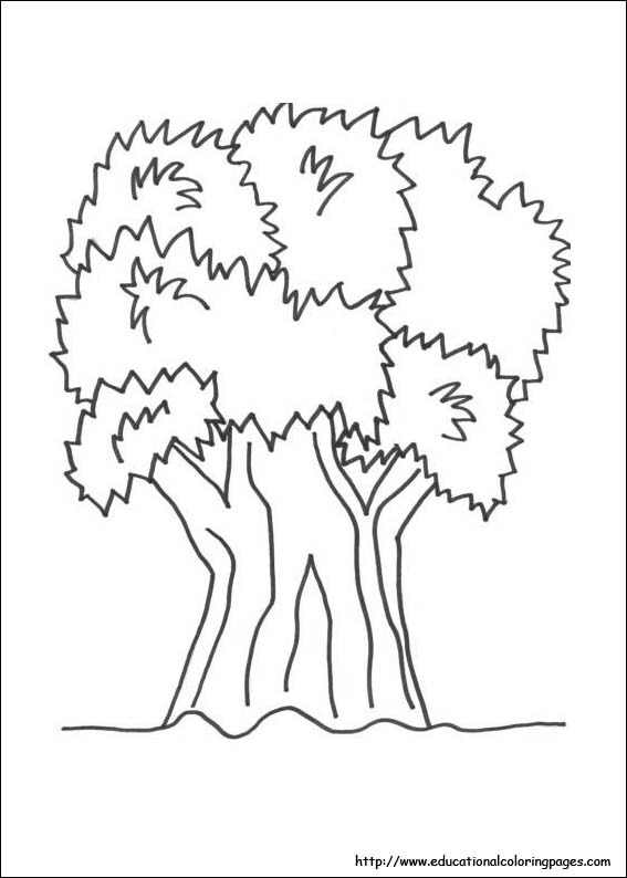 567x794 Nature Coloring Pages