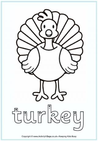 320x459 Turkey Worksheets