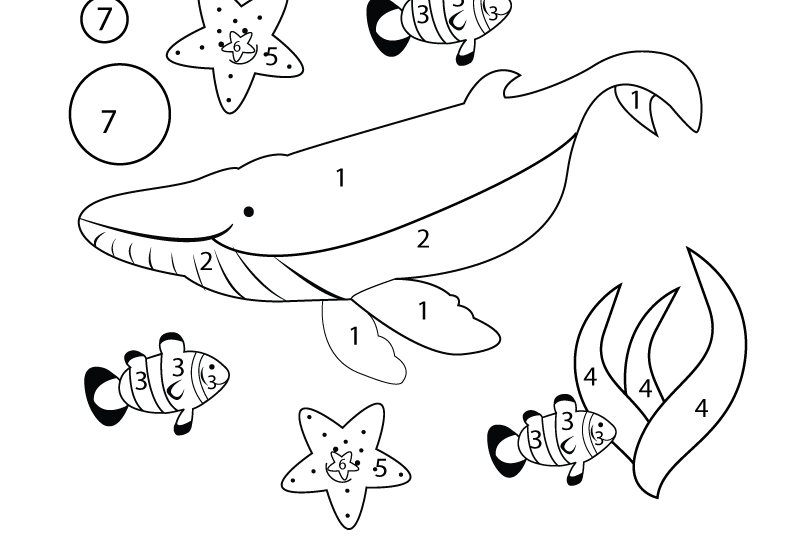 800x544 Colours Worksheet For Kindergartenic297c290 Ec28cc280ic295c29c