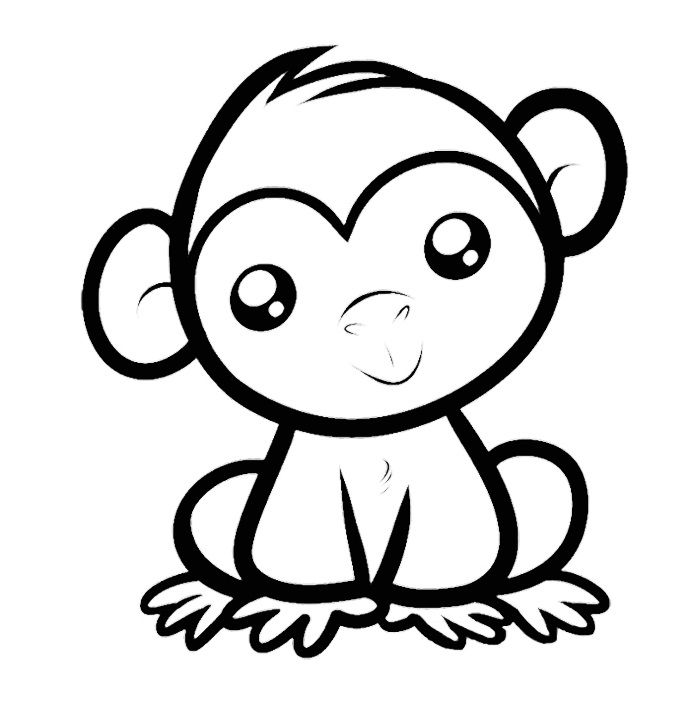 690x705 Spider Monkey Clipart Easy Draw