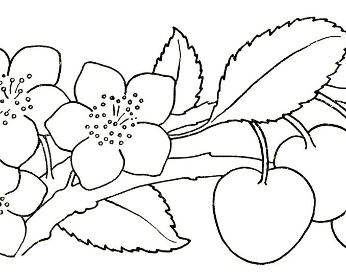 Kids Flower Drawing at GetDrawings | Free download