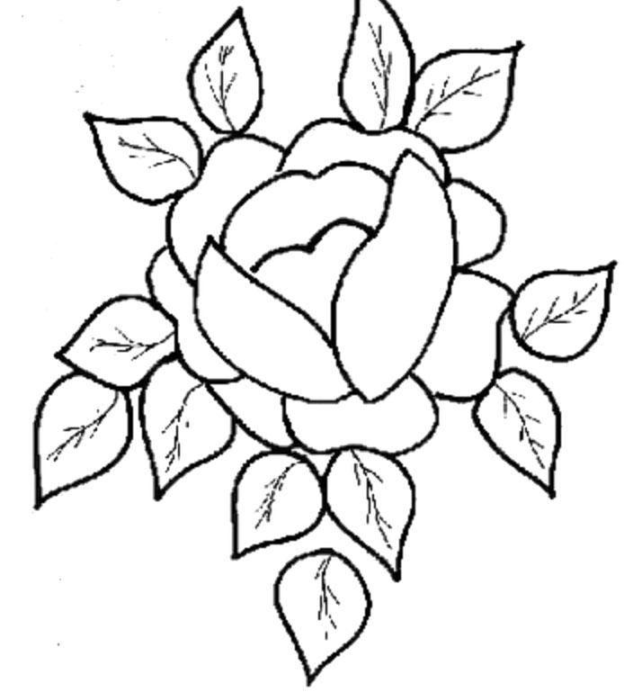 694x769 Flowers Drawings For Kids