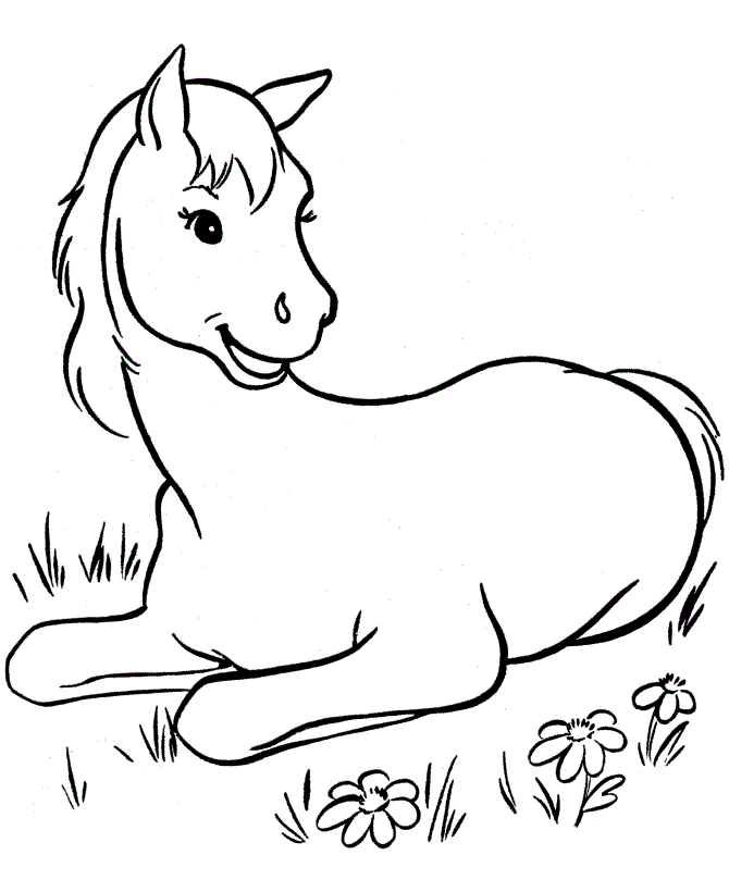 670x820 New Coloring Pages Horses Ideas For Your Kids