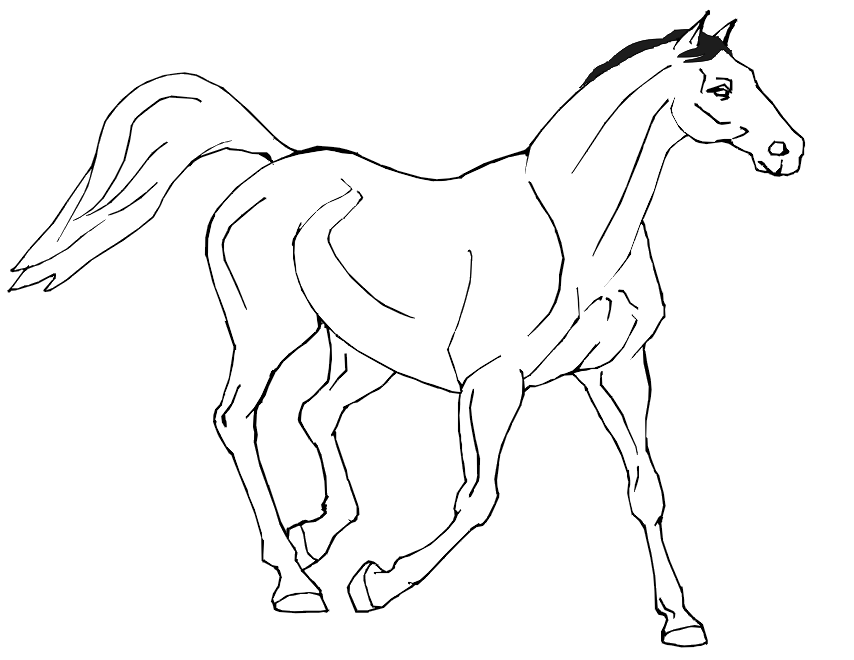 854x660 Realistic Horse Coloring Pages 337453