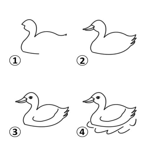 500x500 Draw A Duck For Kids