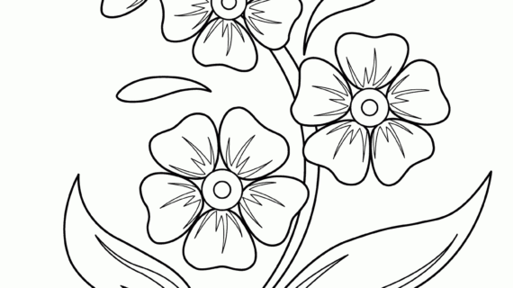570x320 Simple Drawing For Kids Flowers How To Draw Easy Flowers Art