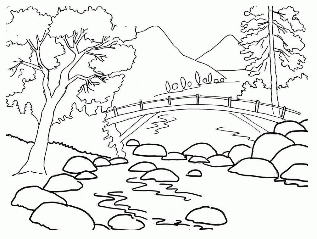 1008x760 Nature Coloring Sheets